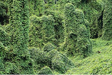 《哈罗德·哈利巴》正式发售 首发特惠108元